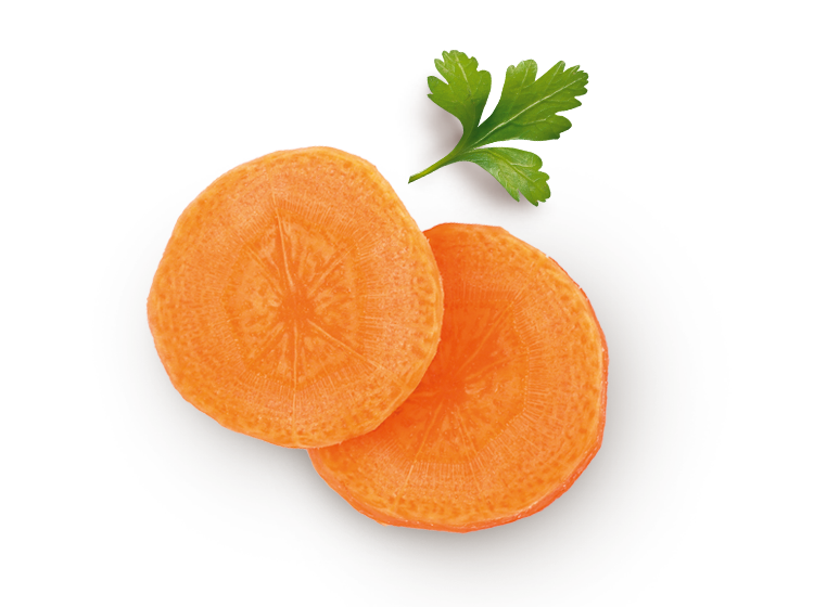Decorative Carrott