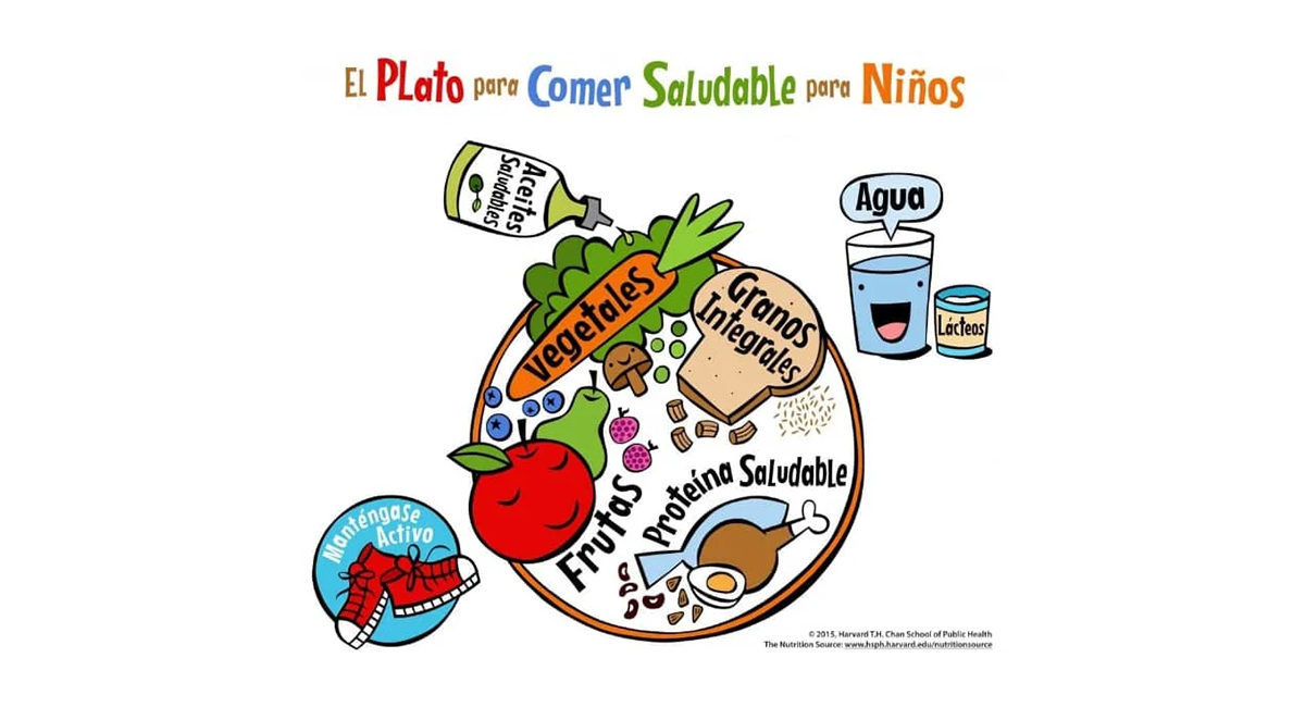 El plato de Harvard para niños