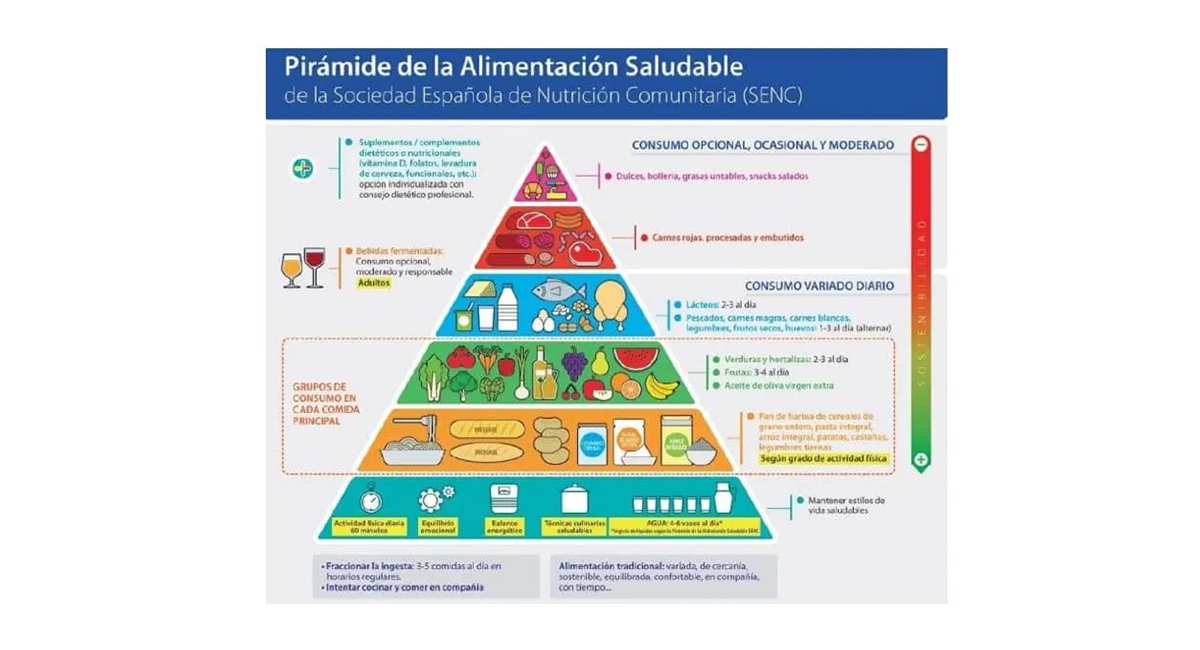 El plato de Harvard para niños