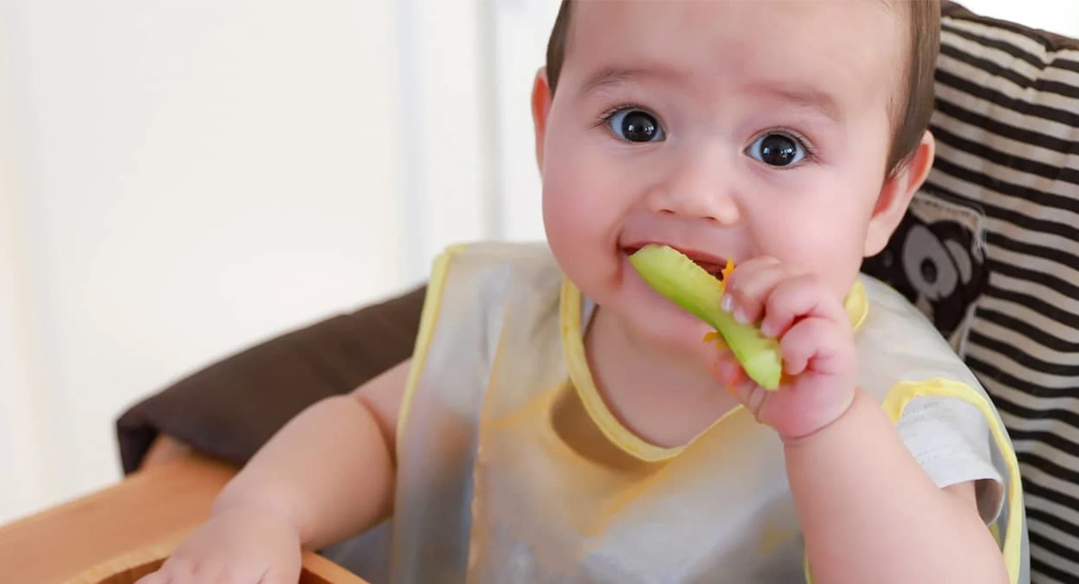 Cantidades recomendadas de alimento por meses