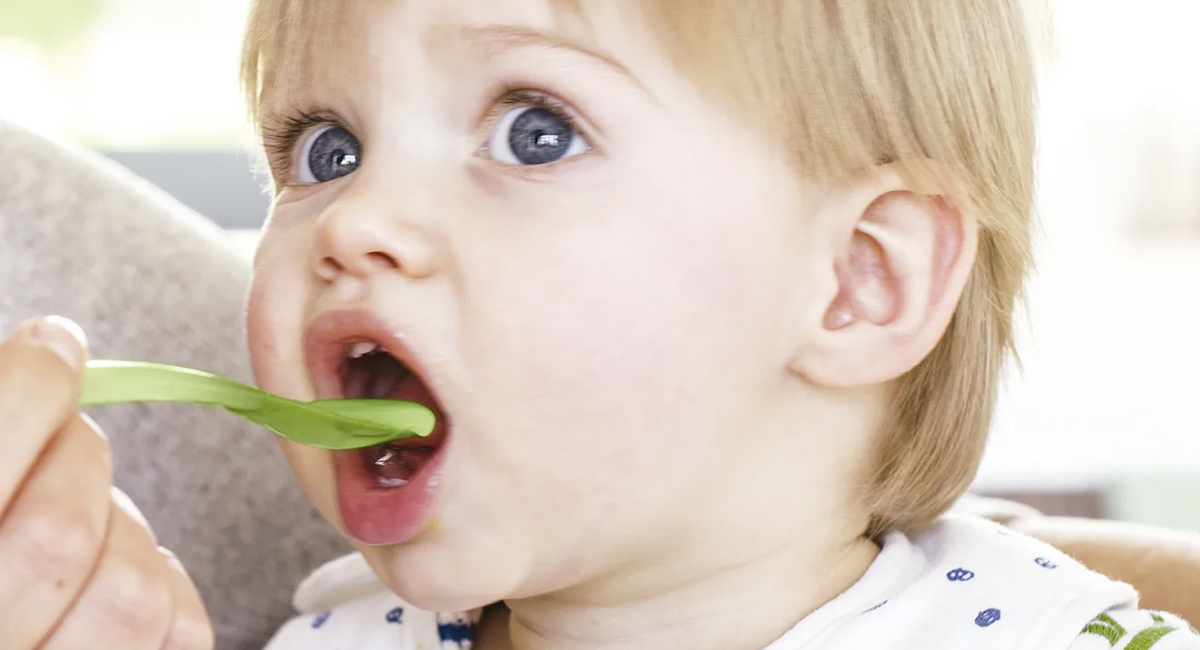Banner Nutricion