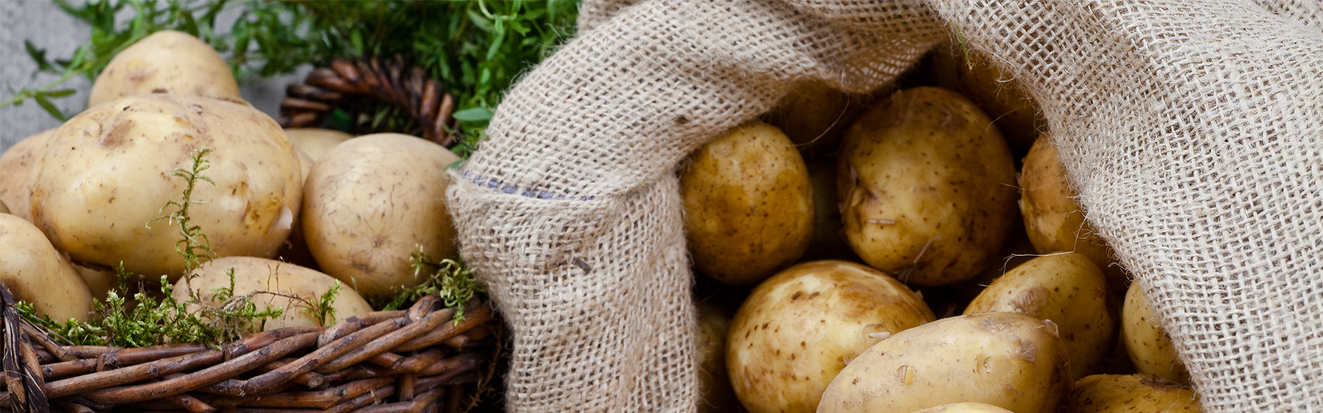 Potatos